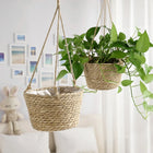 סל תלייה קלוע לעציץ - מוסיף ירוק בלי להעמיס