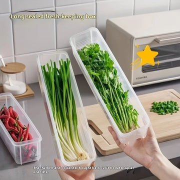 קופסה ארוכה למקרר עם מכסה