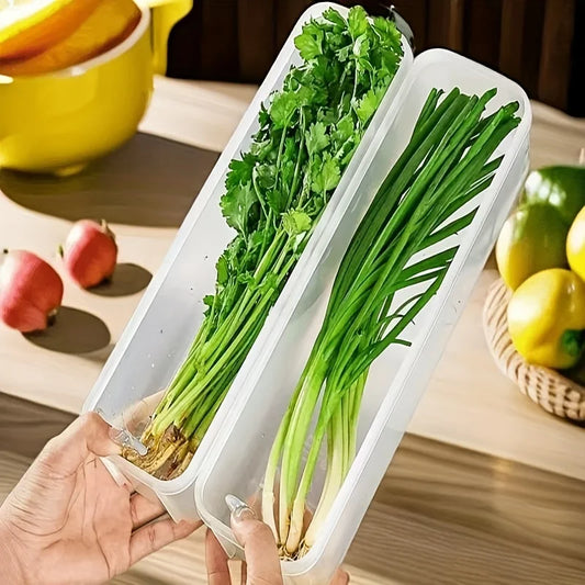 קופסה ארוכה לעשבי תיבול